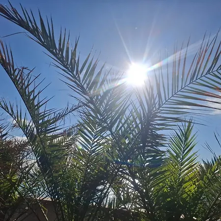 Vista D' Amare Porto Potenza Picena